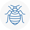 Bed Bug Extermination In Clitheroe