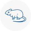 Rat Control Clitheroe